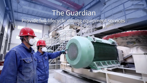 The Guardian | Behind Stable Operations