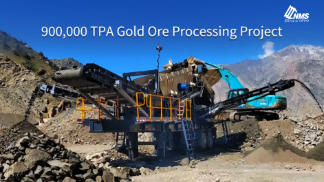 900,000 TPA Gold Ore Processing Project